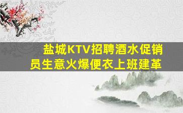 盐城KTV招聘酒水促销员生意火爆便衣上班建革
